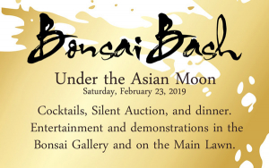 Bonsai Bash event graphics